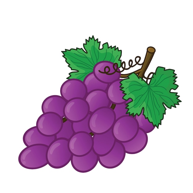 druiven plat vector cartoon icoon druif cartoon druif fruit