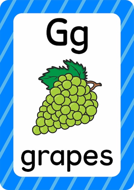 Druiven vector geïsoleerd op witte achtergrond letter G flashcard Druiven cartoon