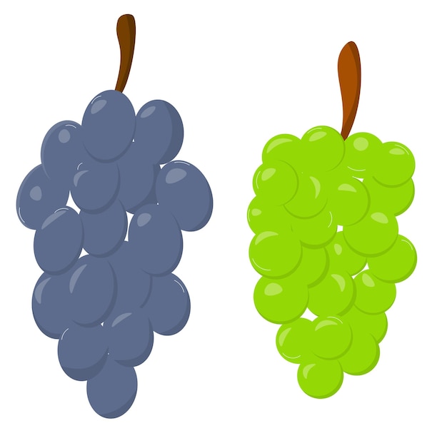 druiven vectorillustratie