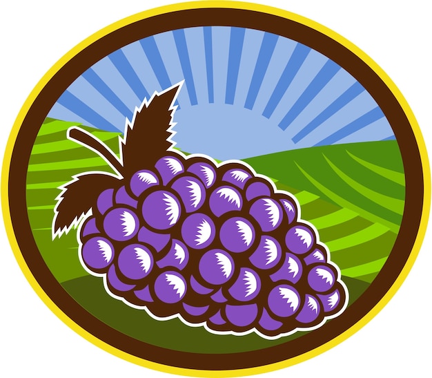 Vector druiven wijngaard boerderij ovale houtsnede
