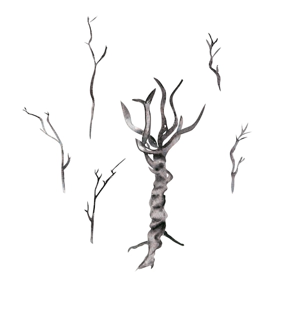 Dry branches