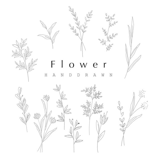 DRY FLOWER VECTOR PACK