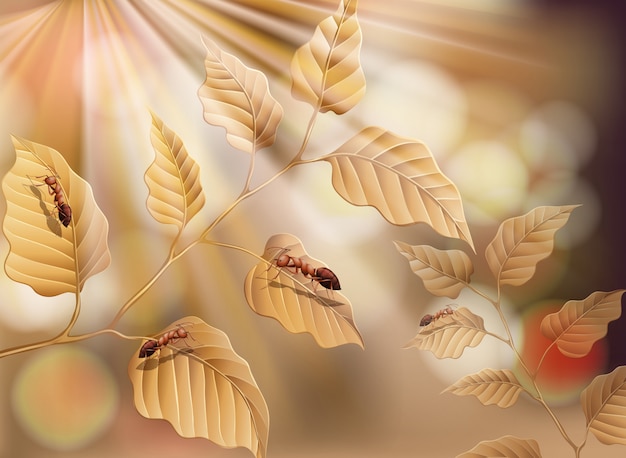 마른 잎과 자연 배경에서 개미