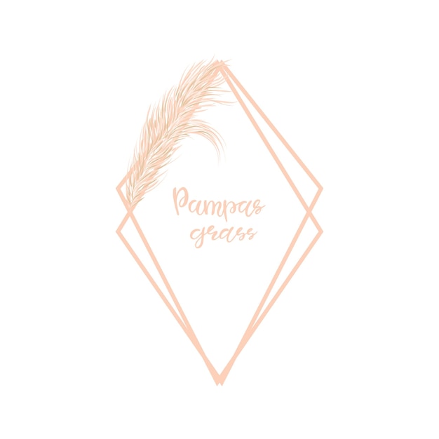 Dry pampas grass geometric frame on a white background. decor of invitations and postcards.