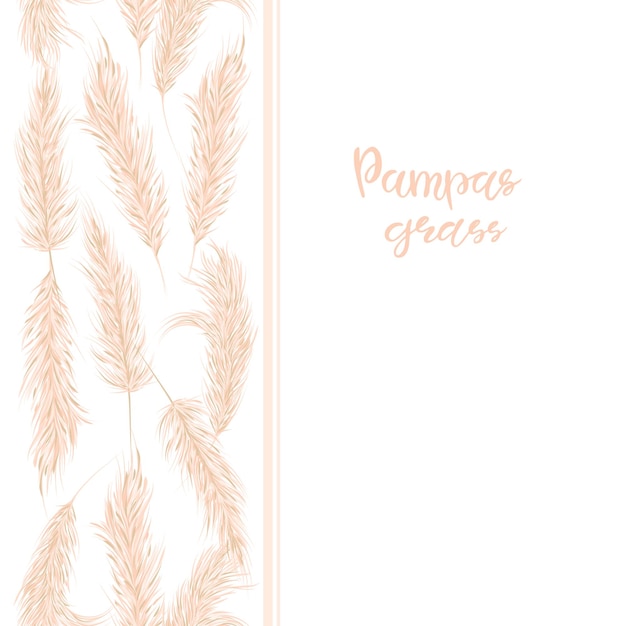 Dry pampas grass seamless border. boho-style decor. vector hand drawn illustration.