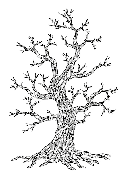 Vector dry tree drawing coloring page
