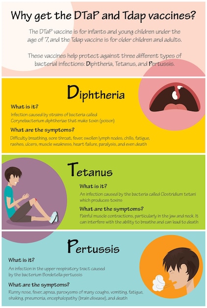 Vector dtap and tdap vaccine infographic