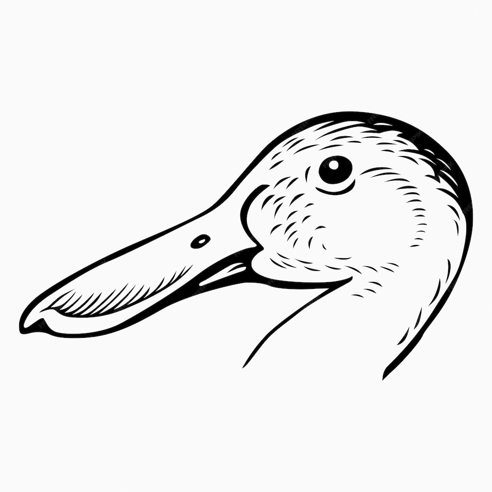 Нарисовать клюв утки
