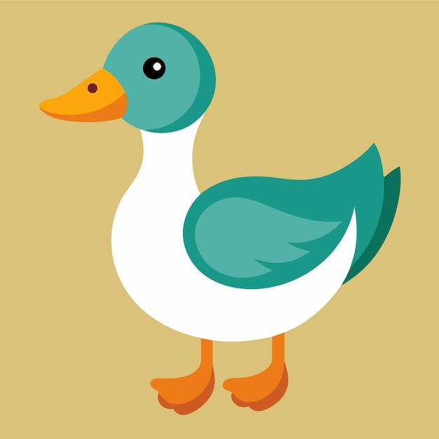 Duck canard duckling goose drake pet vector illustration draw cartoon pretty cute