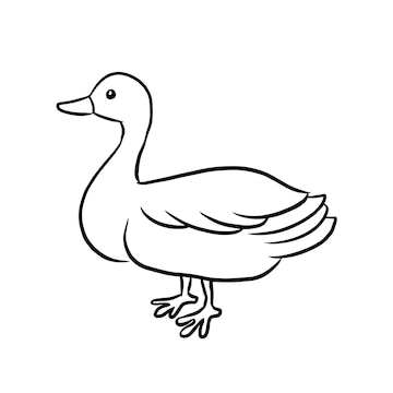 Premium Vector | Duck cartoon animal cute kawaii doodle doodle coloring page drawing drawing Premium Vector | Duck cartoon animal cute kawaii doodle doodle coloring page drawing drawing