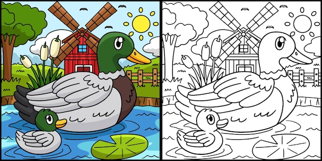 Duck Coloring Page Colored Illustration