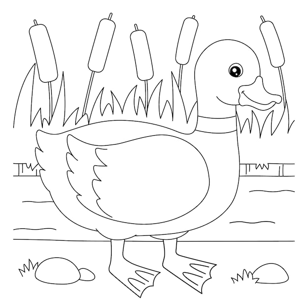 Duck coloring page for kids