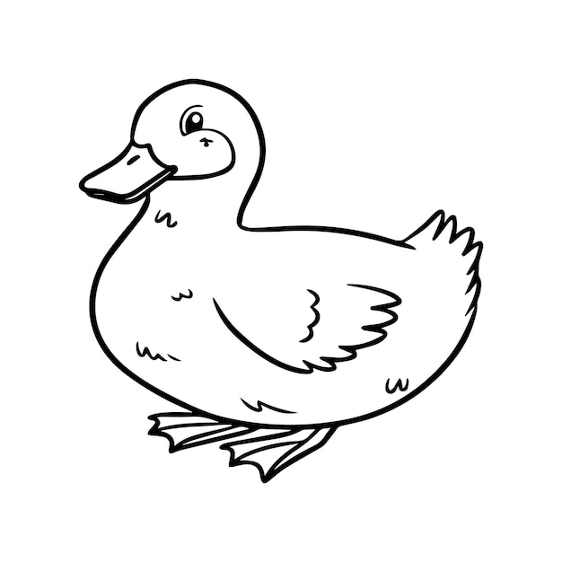 Vector duck coloring pages duck outline vector for coloring book