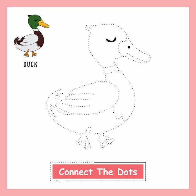 Duck connect the dots