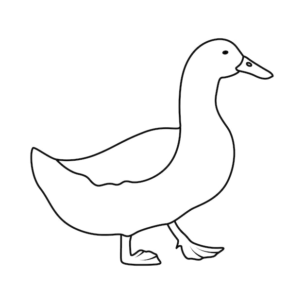 Vector duck in continuous line art drawing style abstract duck walking minimalist black linear sketch