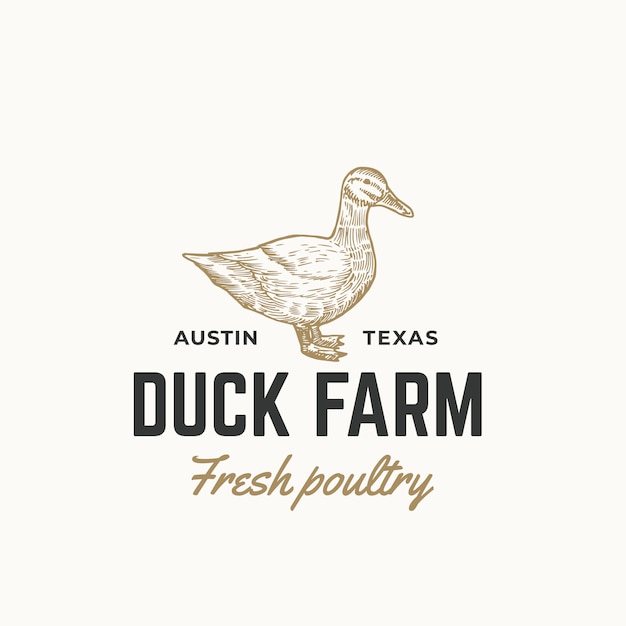 Duck farm fresh poultry abstract  sign, symbol or logo template. hand drawn engraving duck sillhouette sketch with retro typography. vintage emblem.