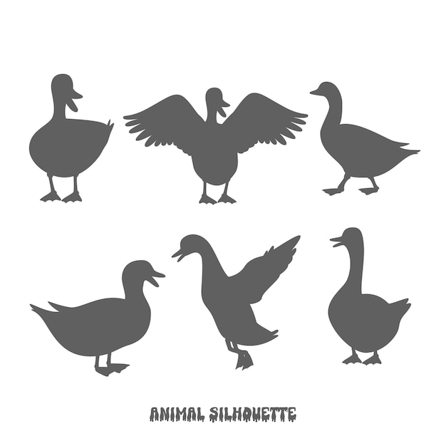 duck flying silhouette collection bird pack and set