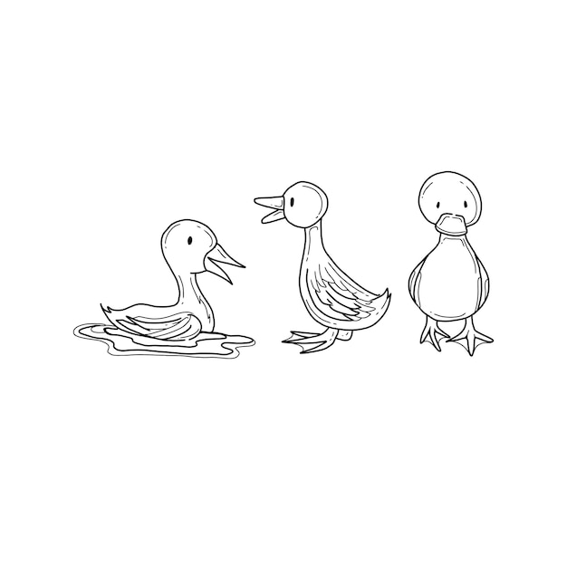 duck handrawn doodle illustrations vector set