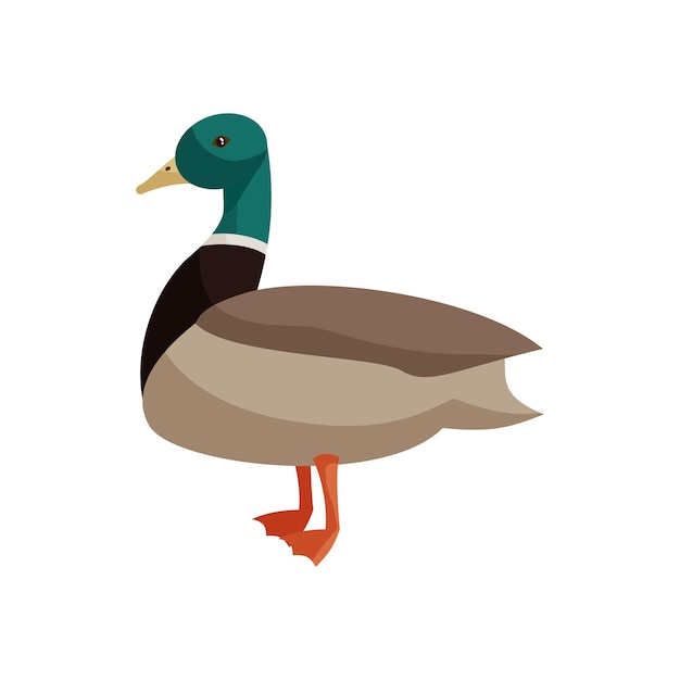 Duck icon in cartoon style isolated on white background Animals symbol