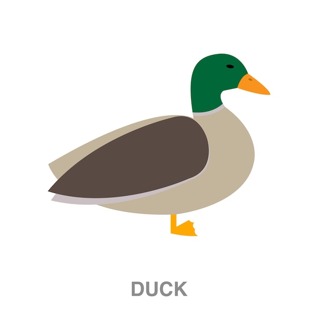 duck illustration on transparent background