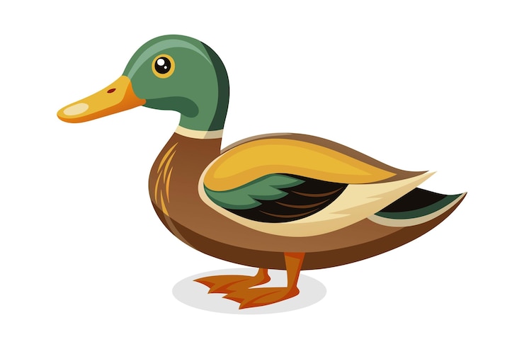 Vector duck isolated flat vector illustration