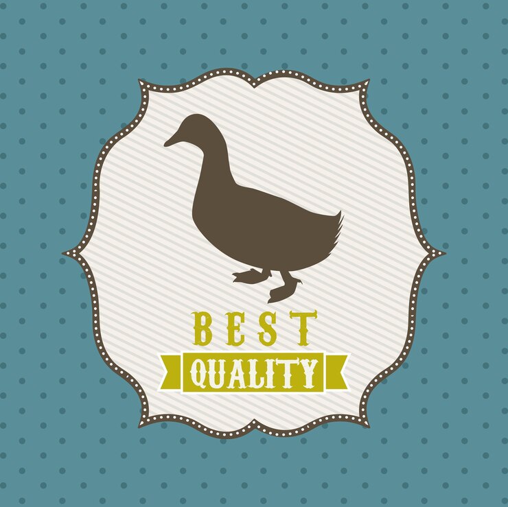 Vector duck meat over blue background vector illustration