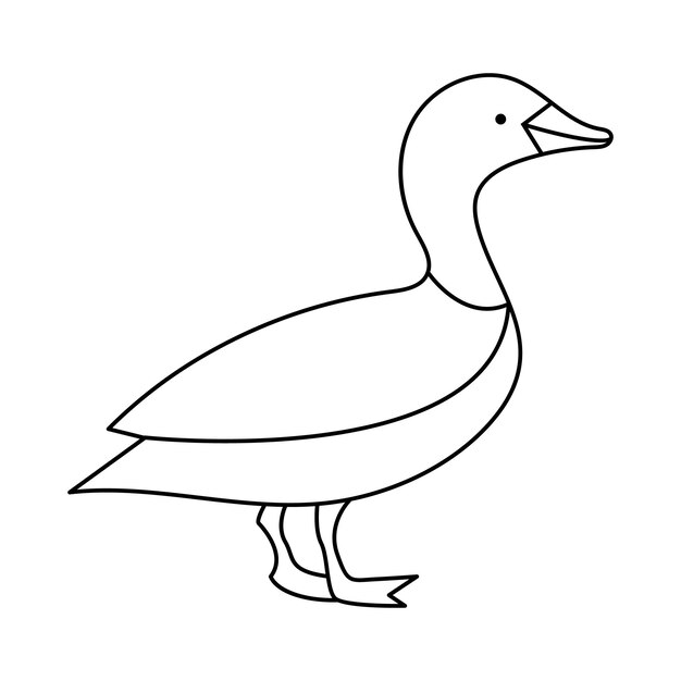 Duck outline simple icon Duck bird single line art vector drawing