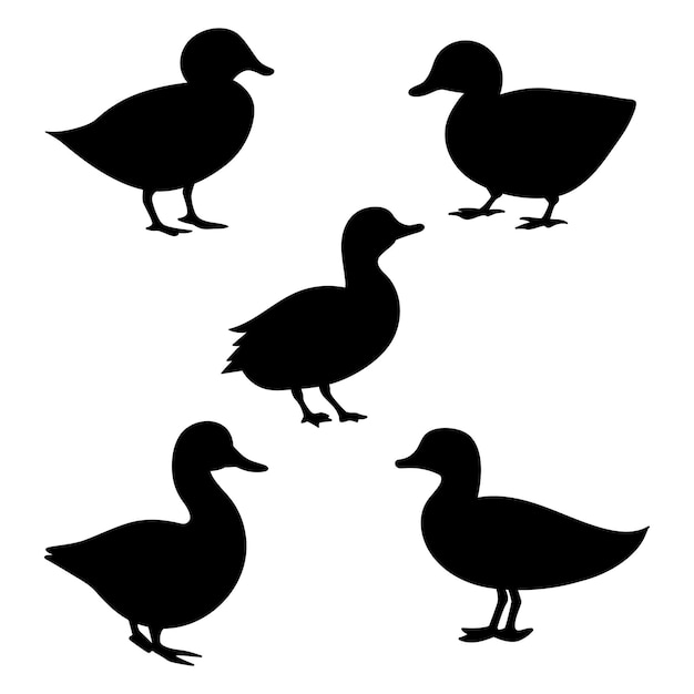 Duck set of black silhouettes vector