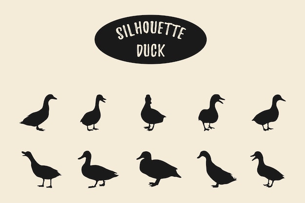 Vector duck silhouettes duck black silhouette duck sign