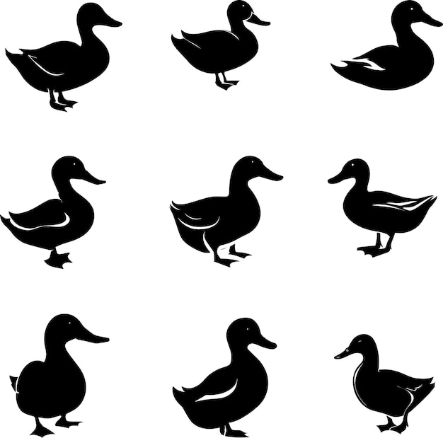 Vector duck vector silhouette 3