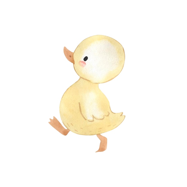 Vector duck watercolor illustration for kids