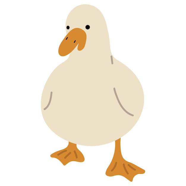 Duck White Single 10