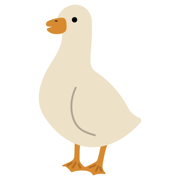 Duck White Single 40