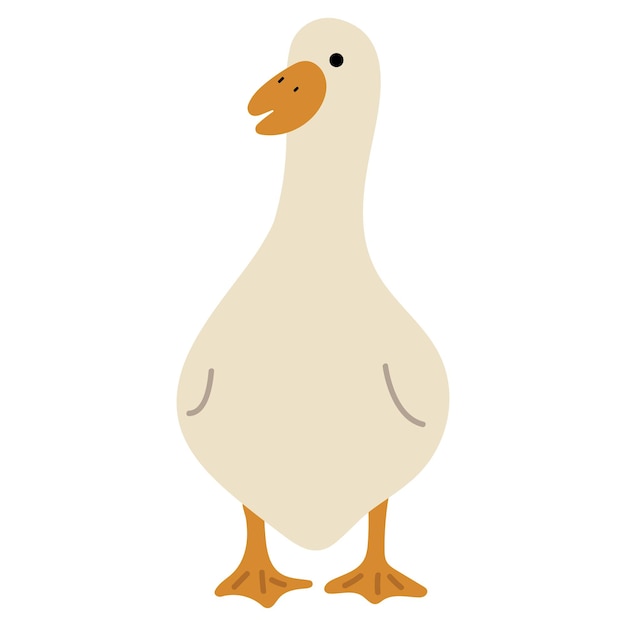 Duck White Single 46