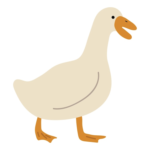 Vector duck white single 5