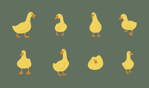 Vector duck yellow 2