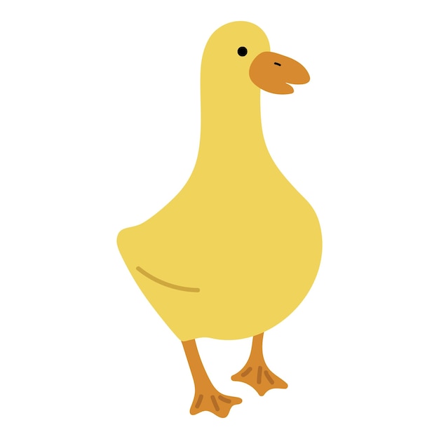 Duck Yellow Single 20