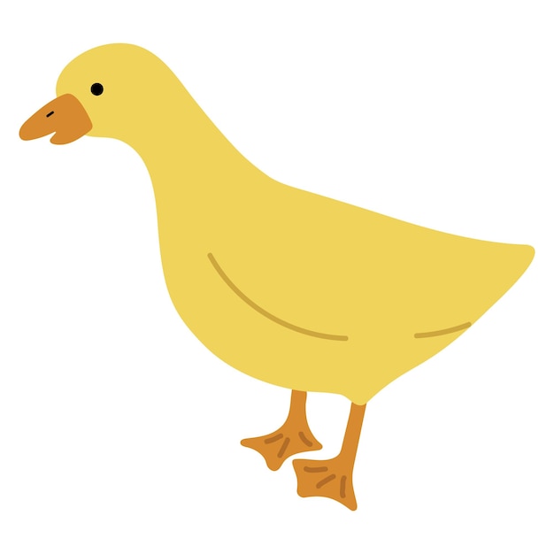 Duck Yellow Single 25