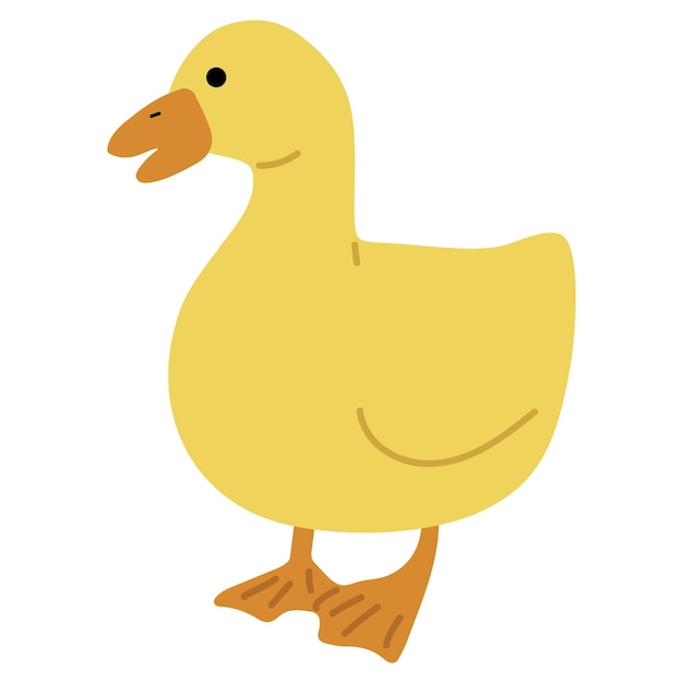 Vector duck yellow single 48