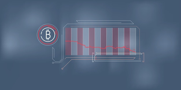 Duidelijke en beknopte infographics van bitcoin prijsdaling