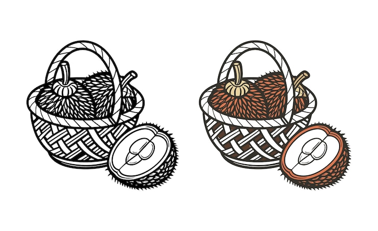 Vector durian in basket illustration