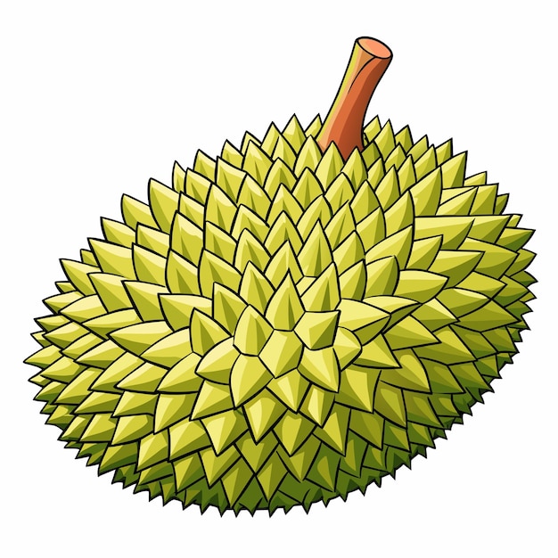 Durian cartoon vector Illustration flat style artwork concept