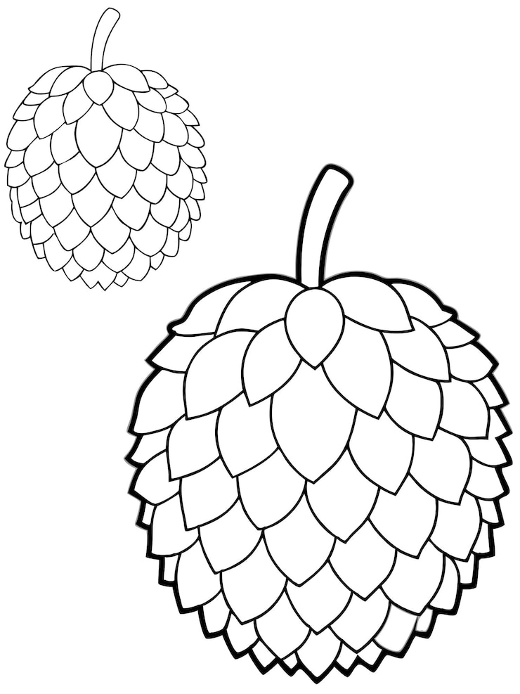 Vector durian coloring book pages with vector design for children