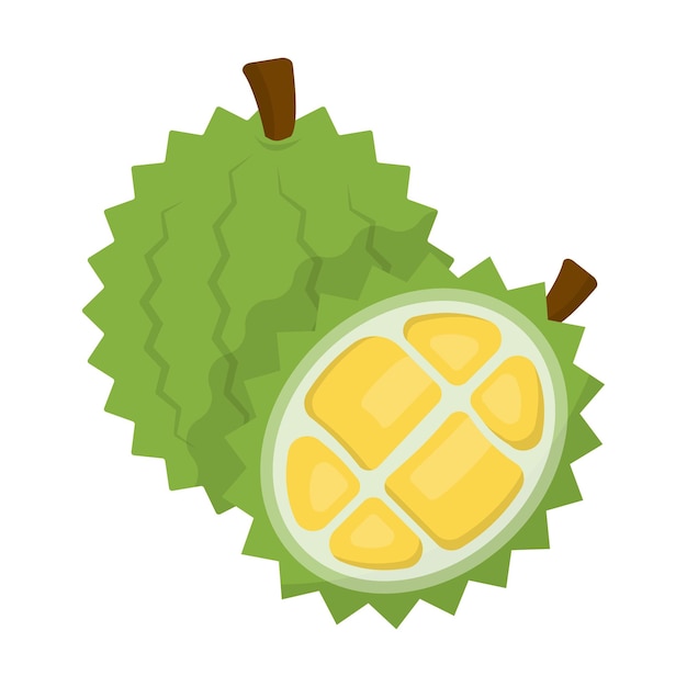 Durian Fruit Cartoon Illustratie