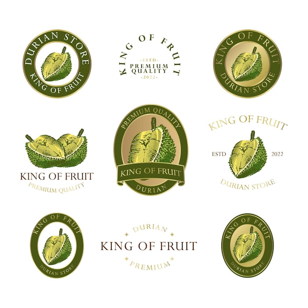 Durian fruit logo предварительный редактируемый шаблон