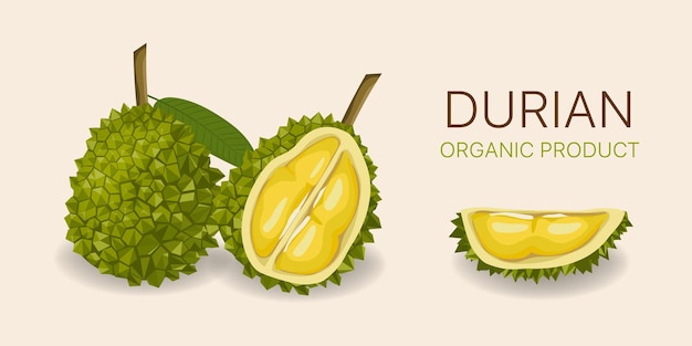 Durian heerlijk fruit geheel en geschild