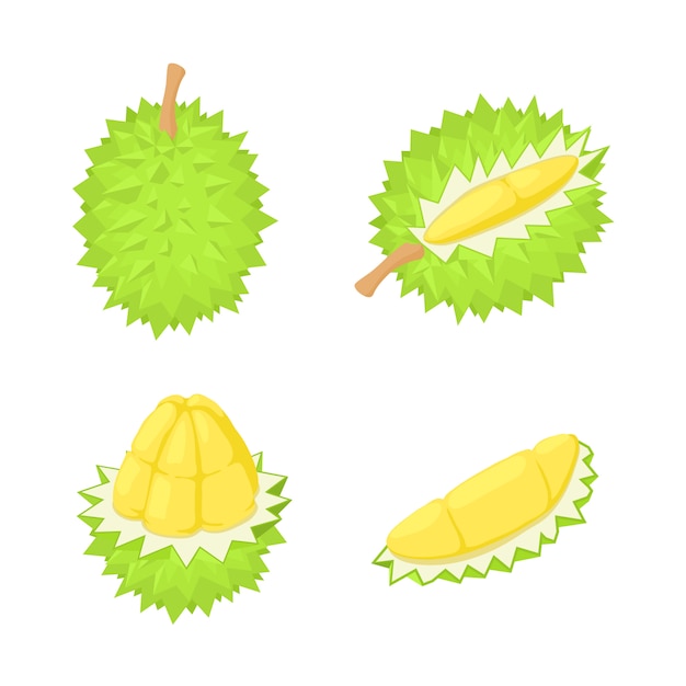 Durian iconen set, isometrische stijl