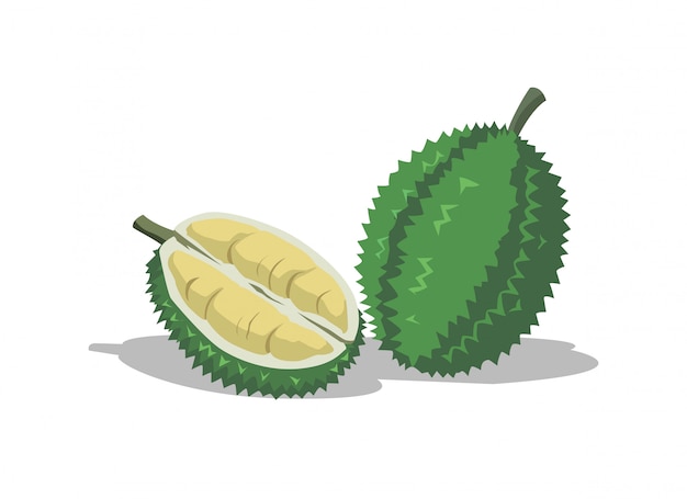 Durian is een heerlijke vrucht