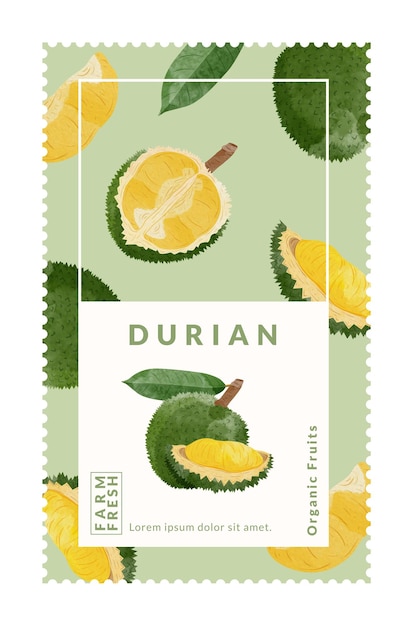 durian packaging design templates watercolour style vector illustration
