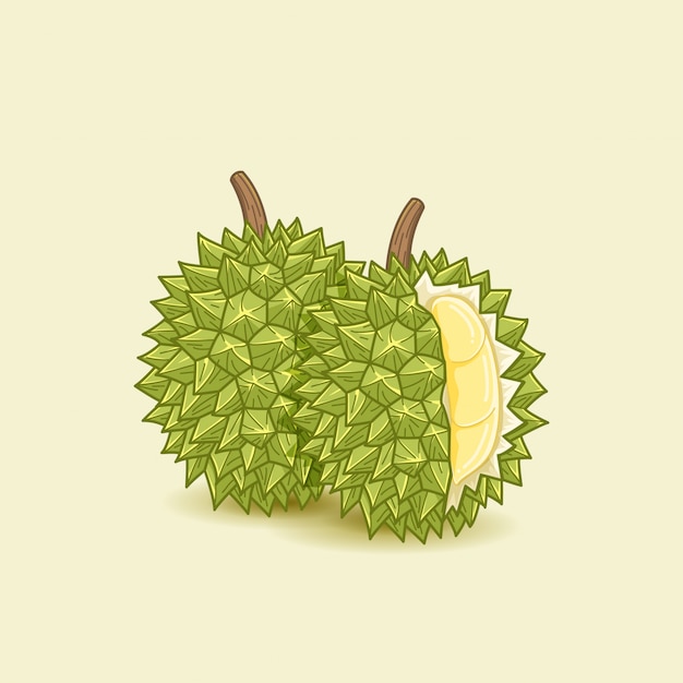 Vector durian voedsel illustratie